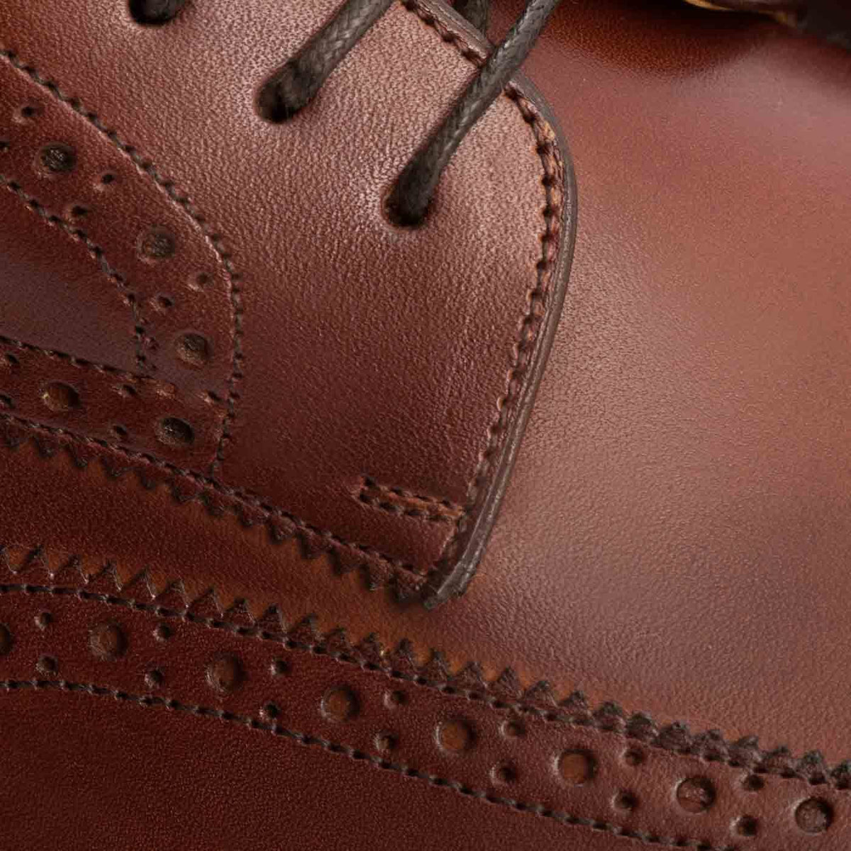 Sapatos Kent Wingtips - Homem